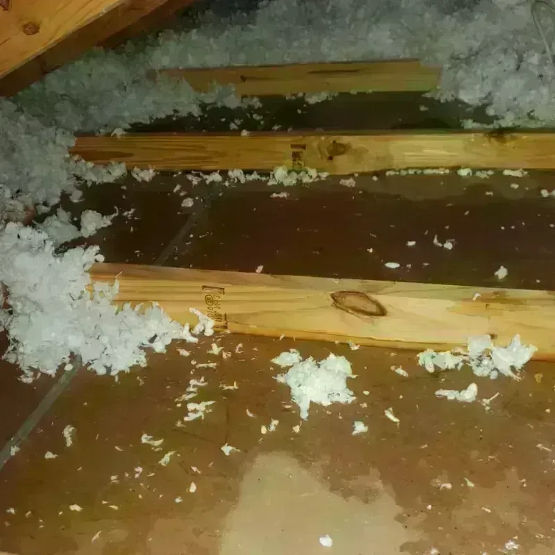 Attic Water Damage in Conway, SC