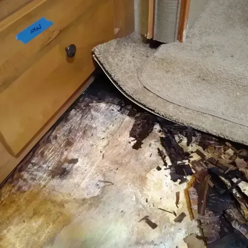 Wood Floor Water Damage in Conway, SC